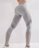 Leggings Ascendance